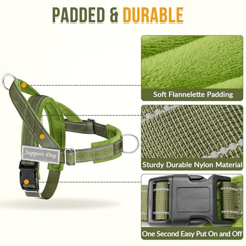 SlowTon No Pull Dog Harness and Leash Set - Heavy Duty - Image 4