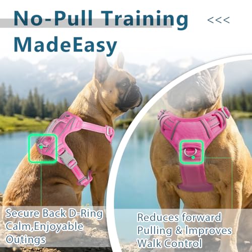 BARKBAY No Pull Dog Harness For Large Dogs,ID Tag Holder Dog Vest - Image 4