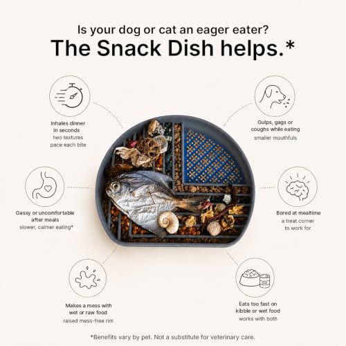 Snack Dish Slow Feeder Bowl for Dogs & Cats – Dual Pattern Design with Treat Corner, Mess-Free Feeding, Dishwasher Safe | Kubi Pets (Gray) (Gray)