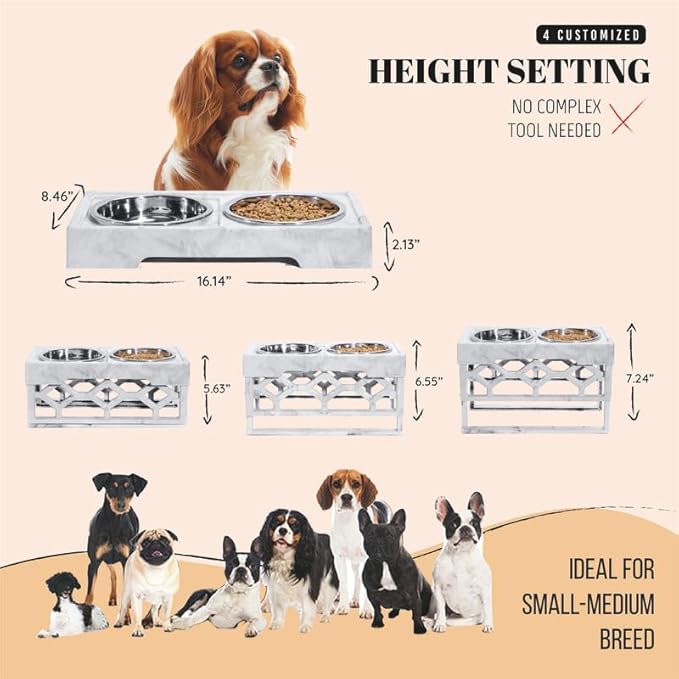 AVERYDAY Elevated Dog Bowls, 4 Height Adjustable Stand for Small and Medium Dogs, Raised Dog Feeder Holder with 2 Stainless Steel Food and Water Bowls, Anti-Slip Base Tall Feeding Station