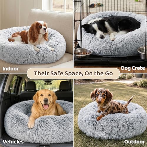 JOLLYVOGUE Dog Beds Large Sized Dog, 36 inches Calmi | Pet Safety & Co - Image 7