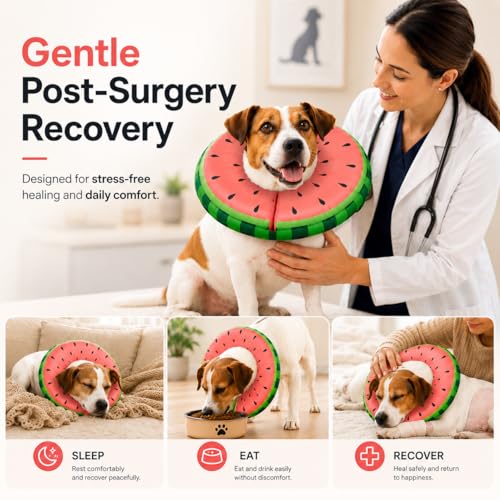 MIDOG Inflatable Dog Cone After Surgery, Donut Collar | Pet Essentials - Image 4