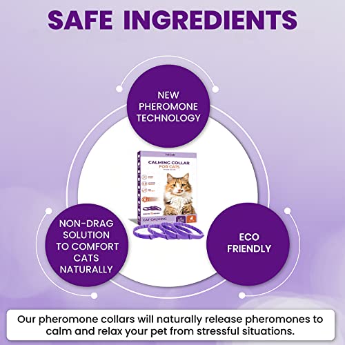 Pheromone Calming Collar for Cats: Breakaway Cat Calming Collar for Anxiety, Separation Stress, Multicat Aggression, Spraying, Meowing - for Indoor Use, Moving & Travel, 4 Pack (Purple)