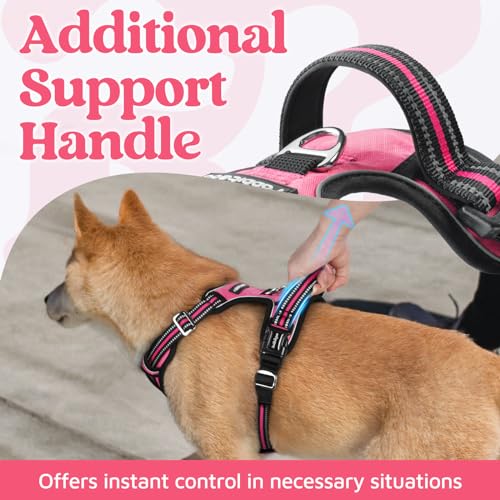 rabbitgoo Dog Harness for Large, No Pull 3 Buckles Easy On & Off - Image 5