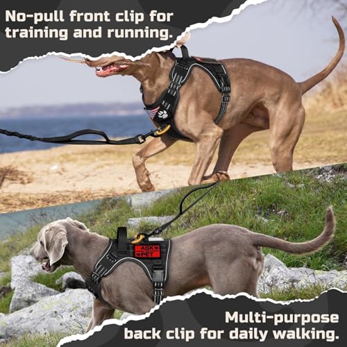 rabbitgoo Tactical Dog Harness for Large, No Pull Military - Image 6