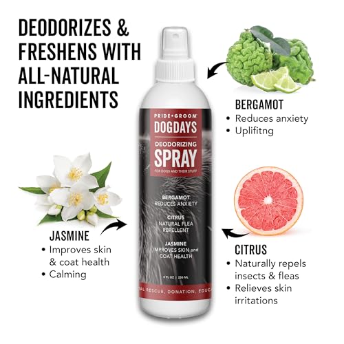 PRIDE AND GROOM DogDays Deodorizing Dog Spray | Long | Pet Essentials - Image 4