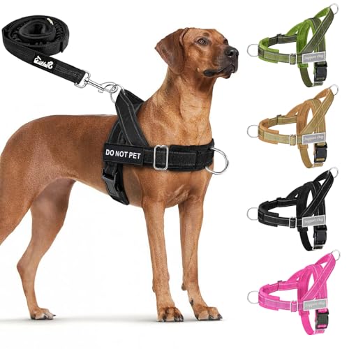 Lukovee No Pull Dog Harness and Leash Set, Soft Padded - Image 2