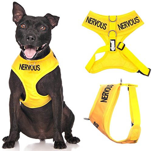 Nervous Yellow Color Coded Waterproof Padded Adjustable Non Pull Front and Back Ring Alert Warning Medium Vest Dog Harness Prevents Accidents By Warning Others of Your Dog in Advan - Image 2