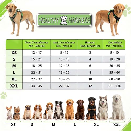 Supreme Sport Dog Harness - Heavy Duty Design, No Choke - Image 5