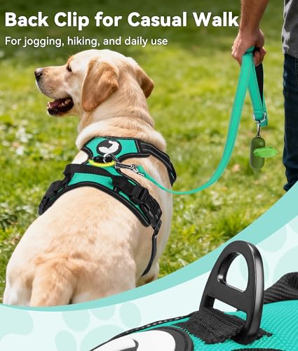 Joytale No Pull Dog Harness Medium Sized Dog, Front Clip, Teal - Image 5