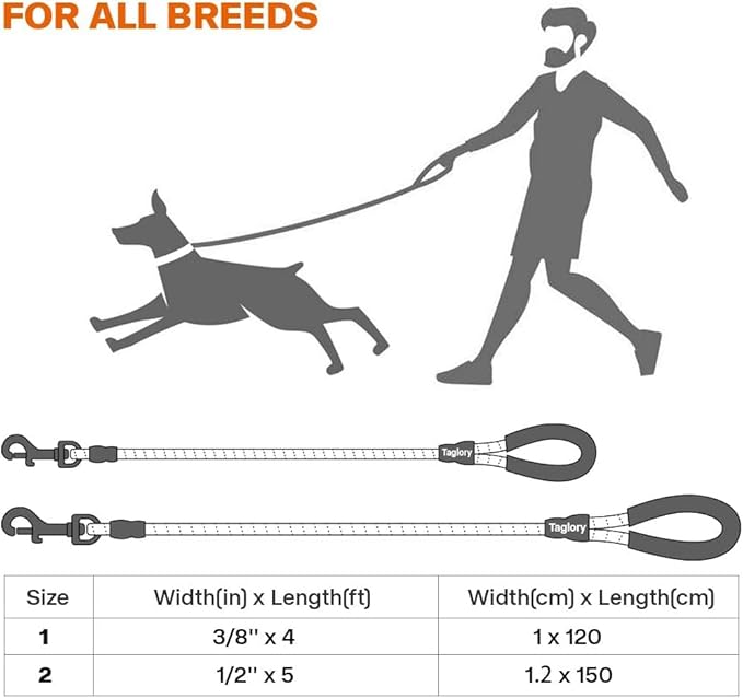 Taglory Rope Dog Leash 4 FT with Comfortable Padded Handle, Highly Reflective Threads Leash for Small Dogs, 3/8 inch, Blue