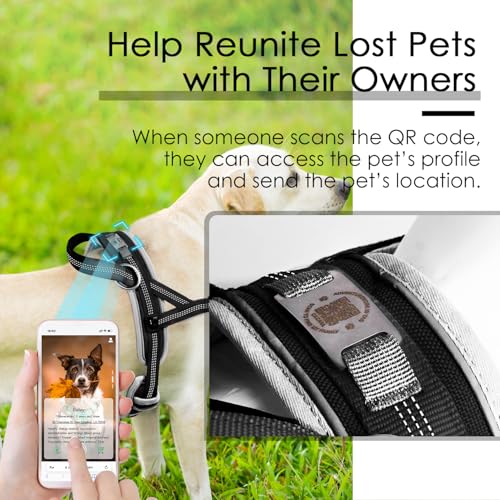 ADVENTUREMORE Dog Harness Small Sized Dog No Pull with QR - Image 7