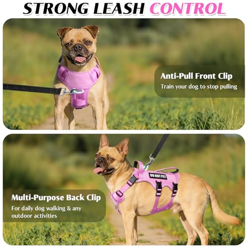 Escape Proof Dog Harness with Double Handle+4 Removable Patches - Image 5