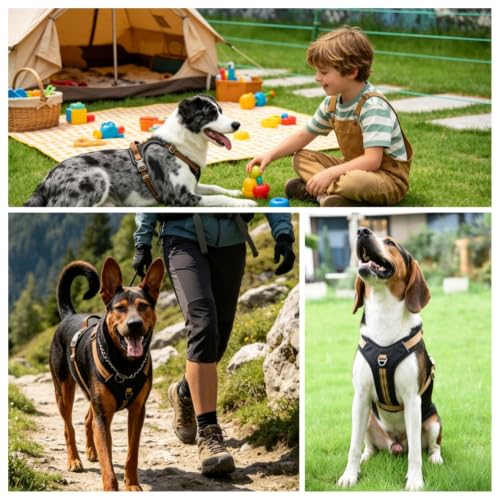 No Pull Reflective Dog Harness, 2 D-Rings Escape Proof Dog Vest - Image 6