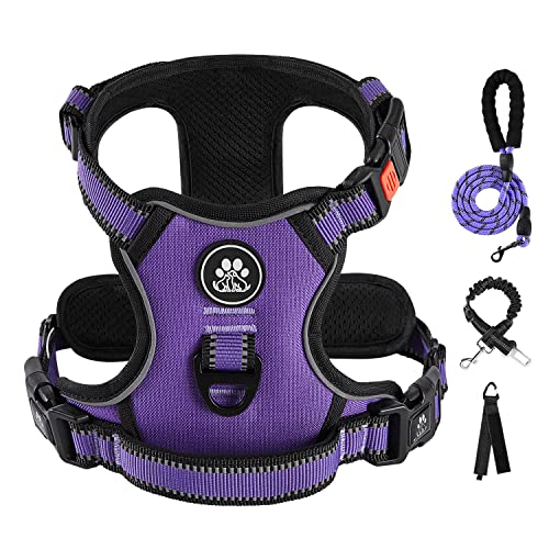 IVY&LANE No Pull Dog Harness for Small Dogs,Reflective Dog - Image 2