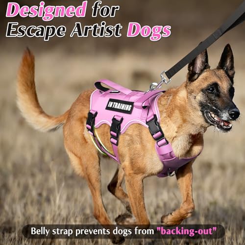 Escape Proof Dog Harness with Double Handle+4 Removable Patches - Image 3