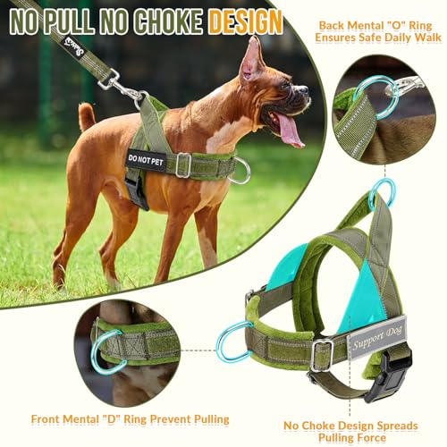SlowTon No Pull Dog Harness and Leash Set - Heavy Duty - Image 3