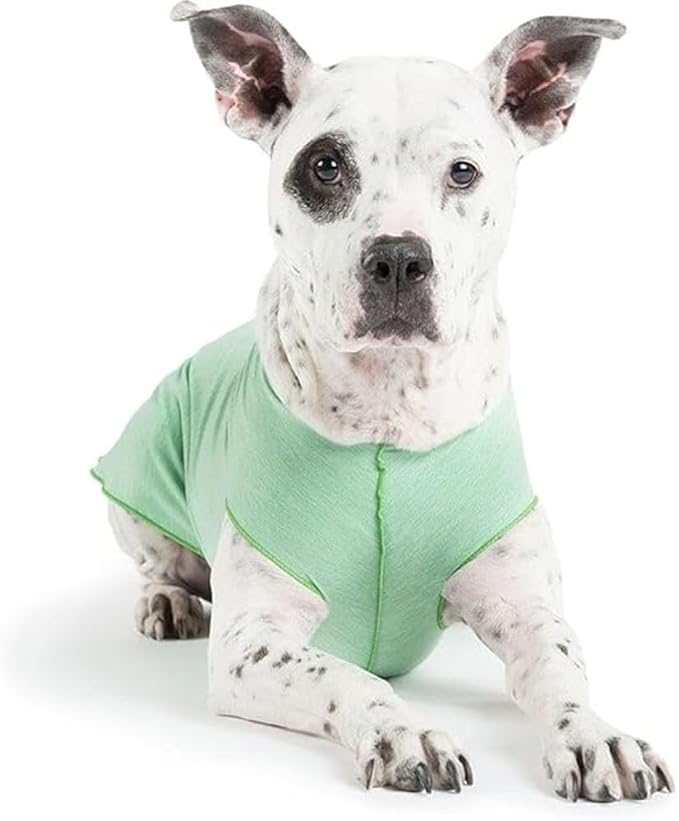 Goldpaw Dog Sun Shirt with UV Protection - Lightweight, Cooling Sun Protection Clothing for Dogs - Reduce Heat Absorption - Pet Clothes Made in The USA - Machine Washable - Pistachio Green - Size 16