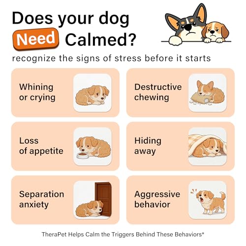 Dog Calming Diffuser 6 in 1 Kit (2 Plug in+4 Pack 48ml Refill) - Image 3