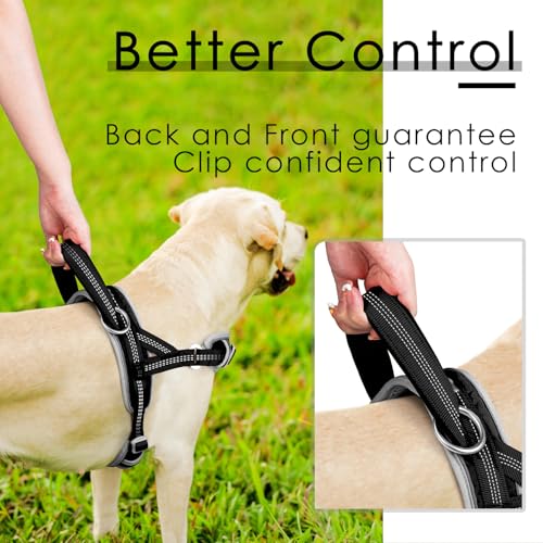 ADVENTUREMORE Dog Harness Small Sized Dog No Pull with QR - Image 3