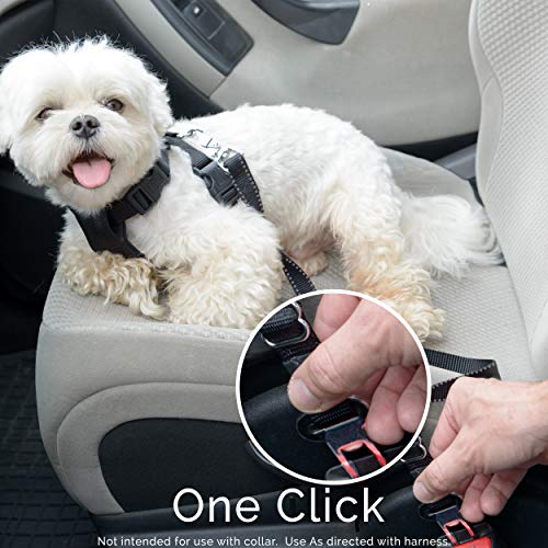 Duke & Dixie Dog Seat Belt Pet Dog Cat Car Seatbelt | Pet Essentials - Image 5