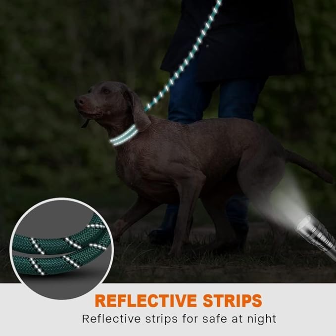 Taglory Rope Dog Leash 4 FT with Comfortable Padded Handle, Highly Reflective Threads Leash for Medium Large Dogs, 1/2 inch, Turquoise