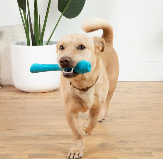 PROJECT HIVE ·PET COMPANY· - Soothing Vanilla Scented - Hive Dog Fetch Stick for Large Breeds - Dog Stick Toy - Floats in Water - Treat Dispenser Toy - Durable and Tough - Made in The USA