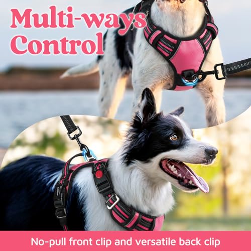 rabbitgoo Dog Harness for Large, No Pull 3 Buckles Easy On & Off - Image 4