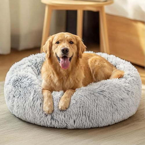 JOLLYVOGUE Dog Beds Large Sized Dog, 36 inches Calmi | Pet Safety & Co - Image 2
