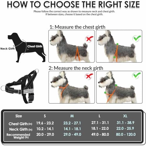 Lukovee No Pull Dog Harness and Leash Set, Soft Padded - Image 6