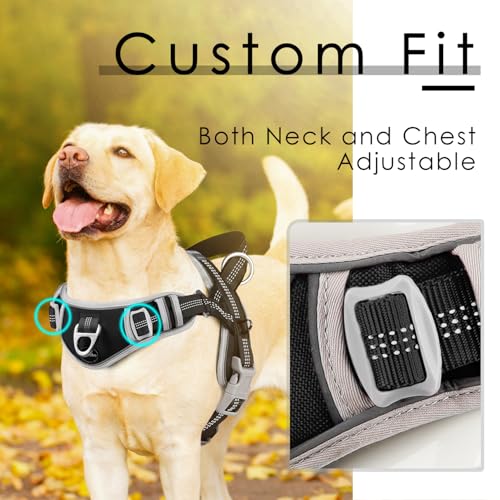 ADVENTUREMORE Dog Harness Small Sized Dog No Pull with QR - Image 5