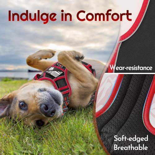 Eagloo Dog Harness No Pull for Medium Dogs, Easy On & Off - Image 7