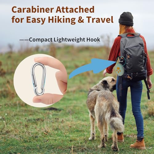 2-in-1 Collapsible Dog Travel Bowl Portable Silicone | Travel Essentia - Image 5