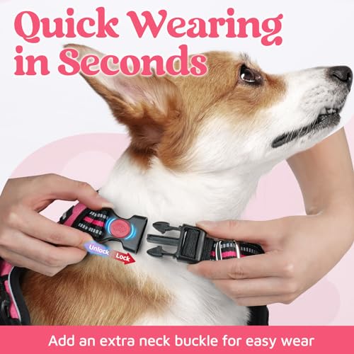 rabbitgoo Dog Harness for Large, No Pull 3 Buckles Easy On & Off - Image 3