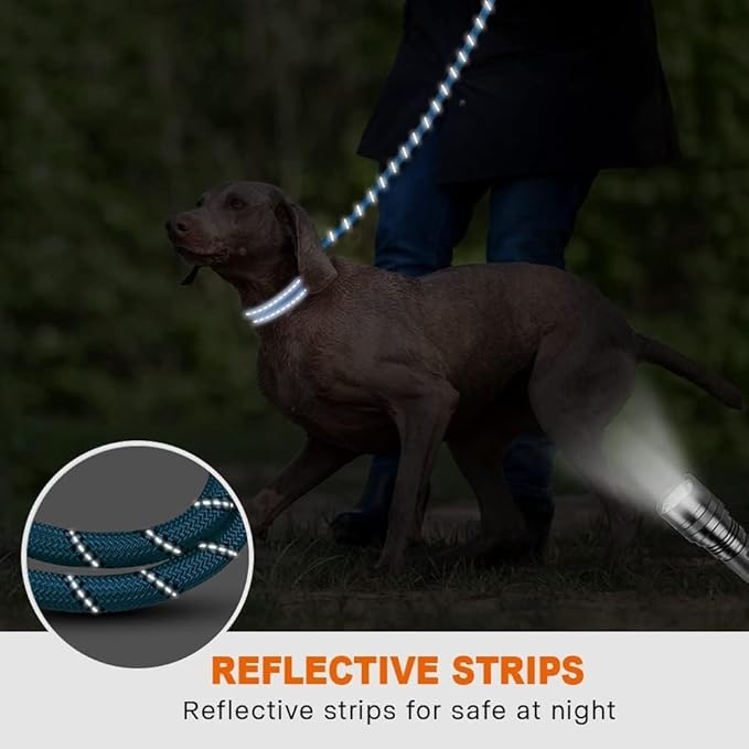 Taglory Rope Dog Leash 5 FT with Comfortable Padded Handle, Highly Reflective Threads Leash for Medium Large Dogs, 1/2 inch, Blue