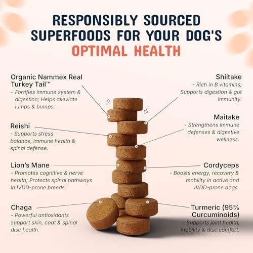 Pets are Kids Turkey Tail Mushroom for Dogs with Organic Real Turkey Tail™ - 8:1 Extract Mushroom Chews for Lumps & Bumps, Immunity, Gut, Skin, Joint & Spine Support - Reishi, Lion’s Mane - 60 Chews