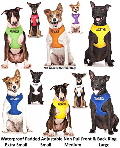 Nervous Yellow Color Coded Waterproof Padded Adjustable Non Pull Front and Back Ring Alert Warning Medium Vest Dog Harness Prevents Accidents By Warning Others of Your Dog in Advan - Image 5