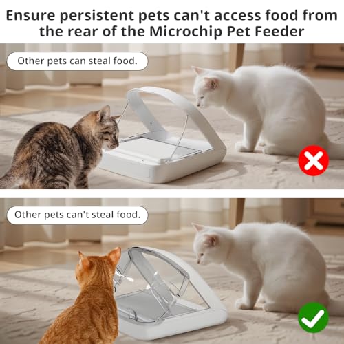 Rear Cover for Automatic Microchip Cat Pet Feeder | Pet Essentials - Image 3