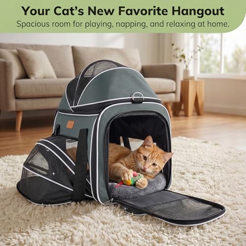 Morpilot Top and Side Expandable Cat Carrier for Pets up to 20lbs - Image 5