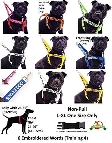 Nervous Yellow Color Coded Waterproof Padded Adjustable Non Pull Front and Back Ring Alert Warning Medium Vest Dog Harness Prevents Accidents By Warning Others of Your Dog in Advan - Image 8