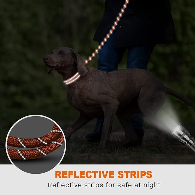 Taglory Rope Dog Leash 4 FT with Comfortable Padded Handle, Highly Reflective Threads Leash for Medium Large Dogs, 1/2 inch, Orange