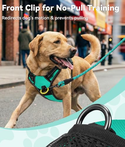 Joytale No Pull Dog Harness Medium Sized Dog, Front Clip, Teal - Image 3