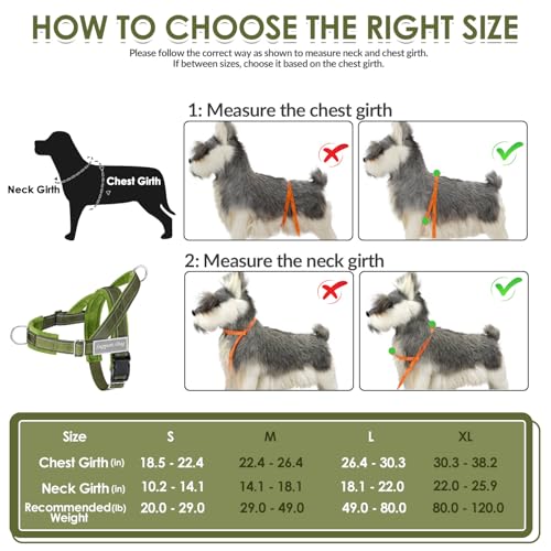 SlowTon No Pull Dog Harness and Leash Set - Heavy Duty - Image 7