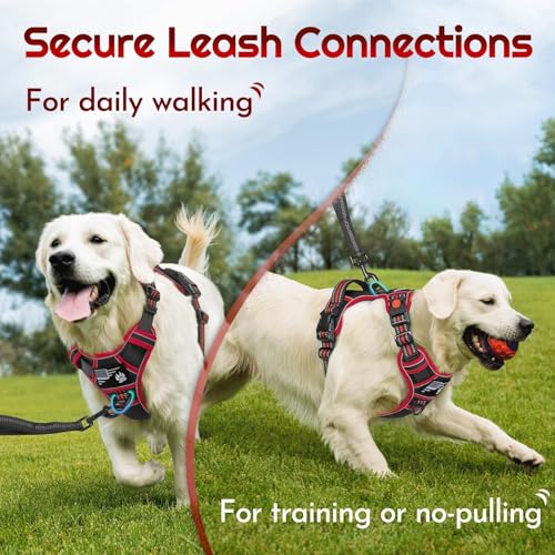 Eagloo Dog Harness No Pull for Medium Dogs, Easy On & Off - Image 5