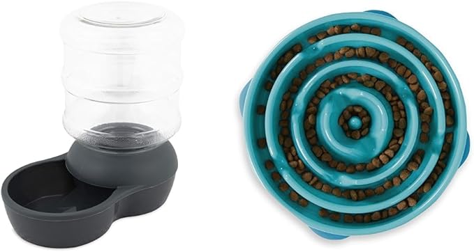 Petmate Aspen Pet 2.5 Gallon Gravity Waterer and Outward Hound Fun Feeder Slo Bowl Slow Feeder Dog Bowl Large/Regular Turquoise