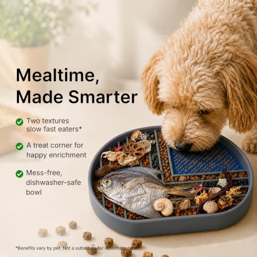Snack Dish Slow Feeder Bowl for Dogs & Cats – Dual Pattern Design with Treat Corner, Mess-Free Feeding, Dishwasher Safe | Kubi Pets (Gray) (Gray)