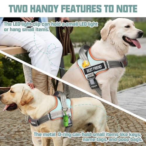 AUROTH Dog Harness and Leash Set for Medium Sized Dog, No - Image 4