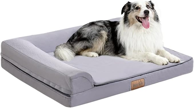 Dog lying on a gray pet bed with a white background