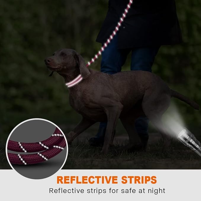 Taglory Rope Dog Leash 5 FT with Comfortable Padded Handle, Highly Reflective Threads Leash for Medium Large Dogs, 1/2 inch, Hotpink