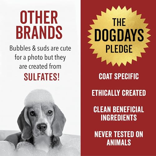 PRIDE AND GROOM DogDays Deodorizing Dog Spray | Long | Pet Essentials - Image 7
